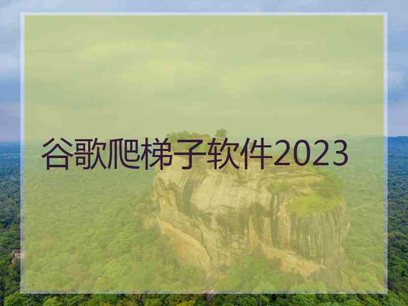 谷歌爬梯子软件2023
