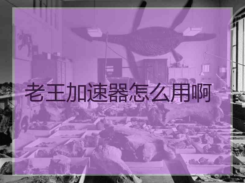 老王加速器怎么用啊