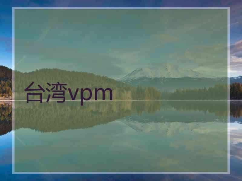 台湾vpm