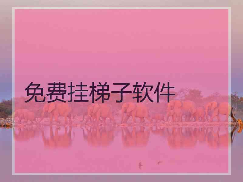 免费挂梯子软件
