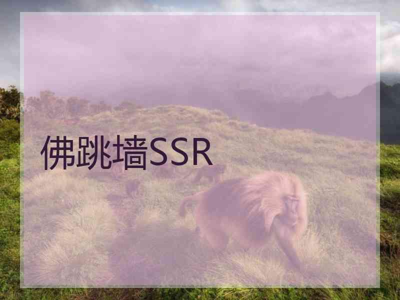 佛跳墙SSR