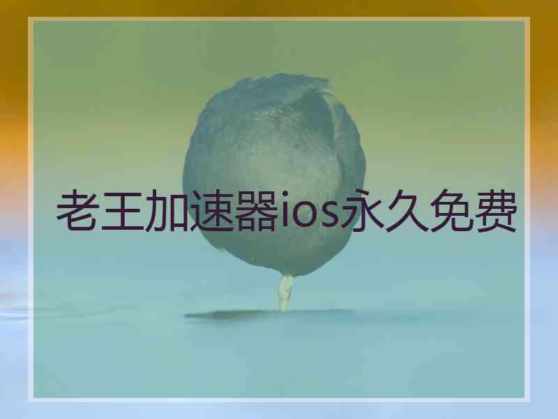 老王加速器ios永久免费