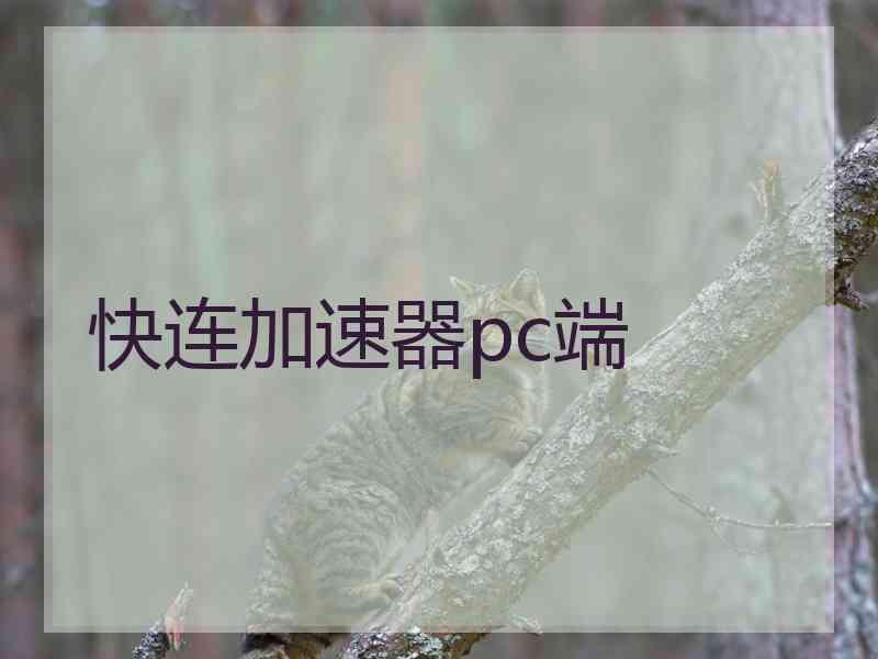 快连加速器pc端