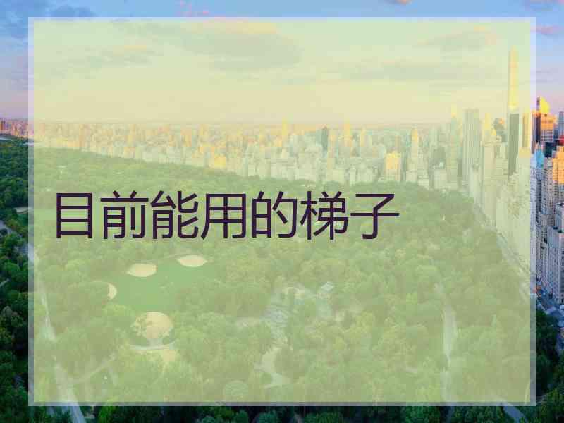 目前能用的梯子