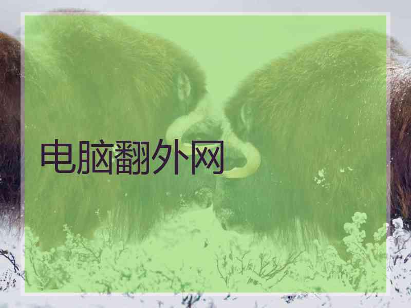 电脑翻外网