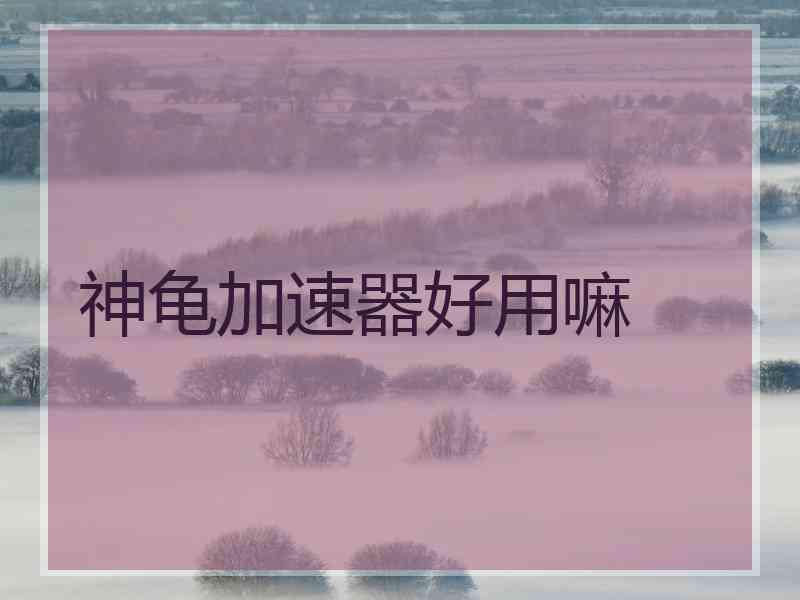 神龟加速器好用嘛