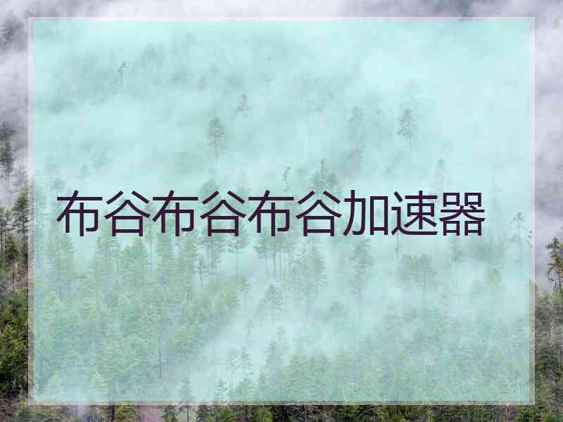布谷布谷布谷加速器