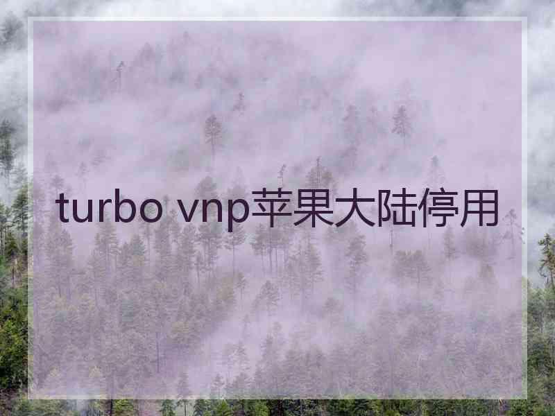 turbo vnp苹果大陆停用