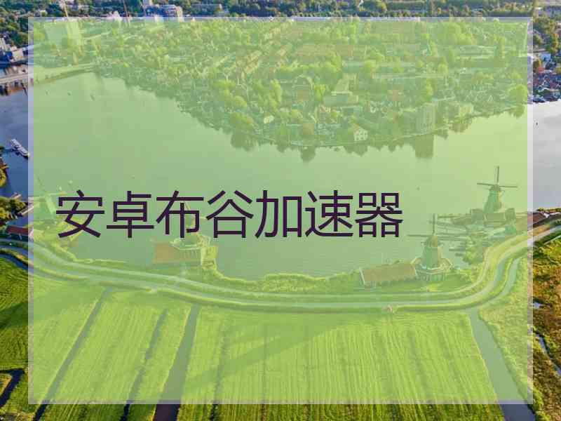 安卓布谷加速器