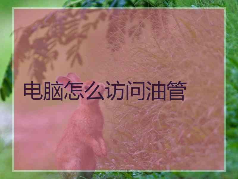 电脑怎么访问油管