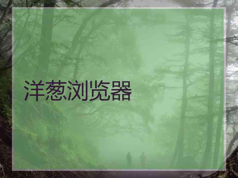 洋葱浏览器