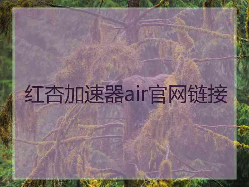 红杏加速器air官网链接