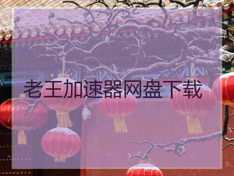 老王加速器网盘下载