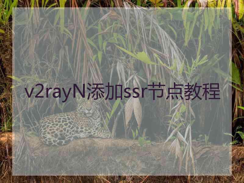 v2rayN添加ssr节点教程