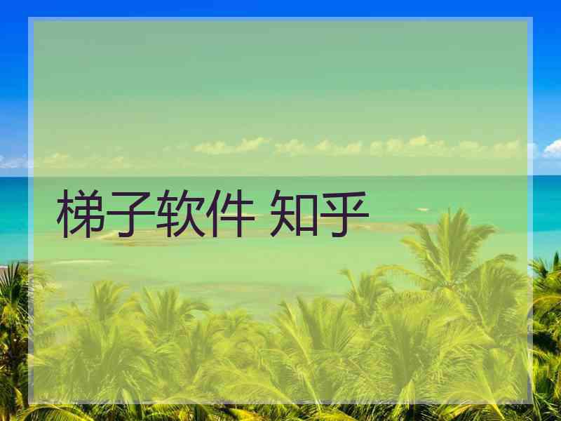 梯子软件 知乎