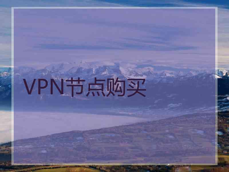 VPN节点购买