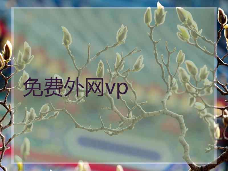 免费外网vp