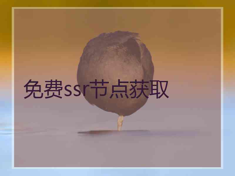 免费ssr节点获取