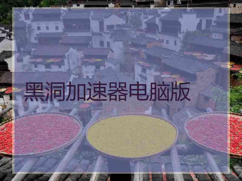 黑洞加速器电脑版