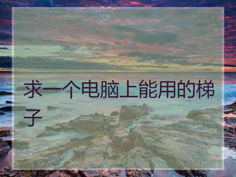 求一个电脑上能用的梯子