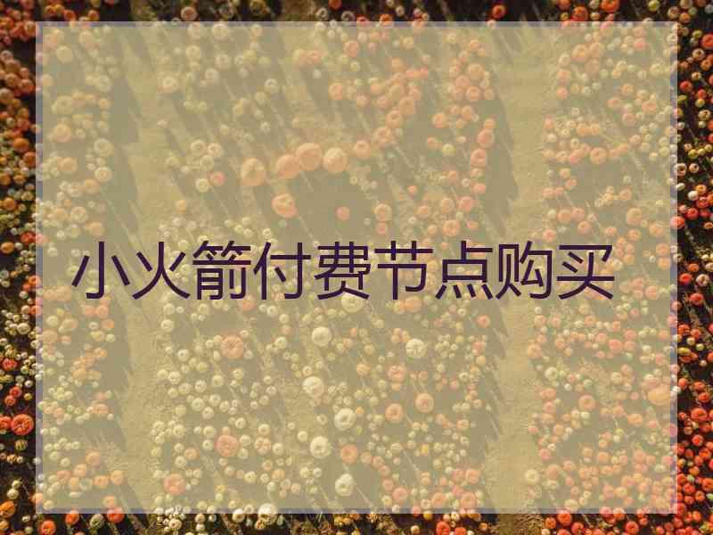小火箭付费节点购买
