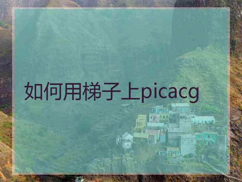 如何用梯子上picacg