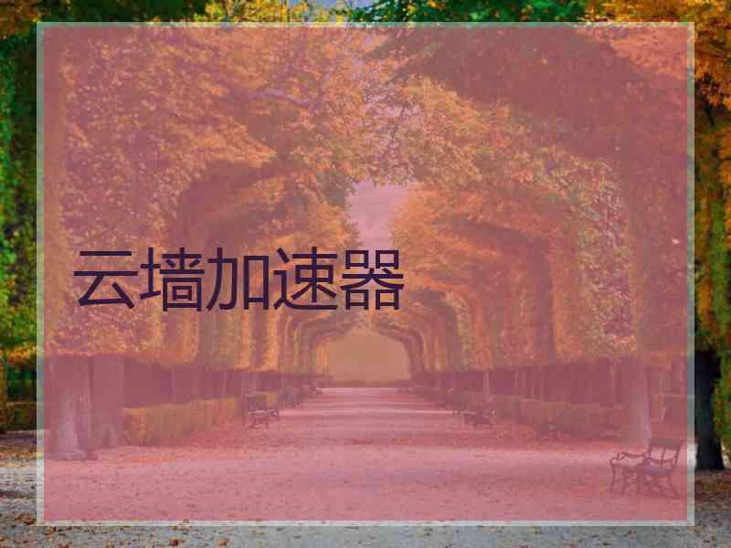 云墙加速器