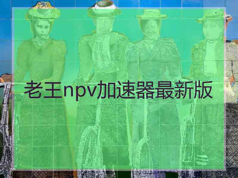 老王npv加速器最新版
