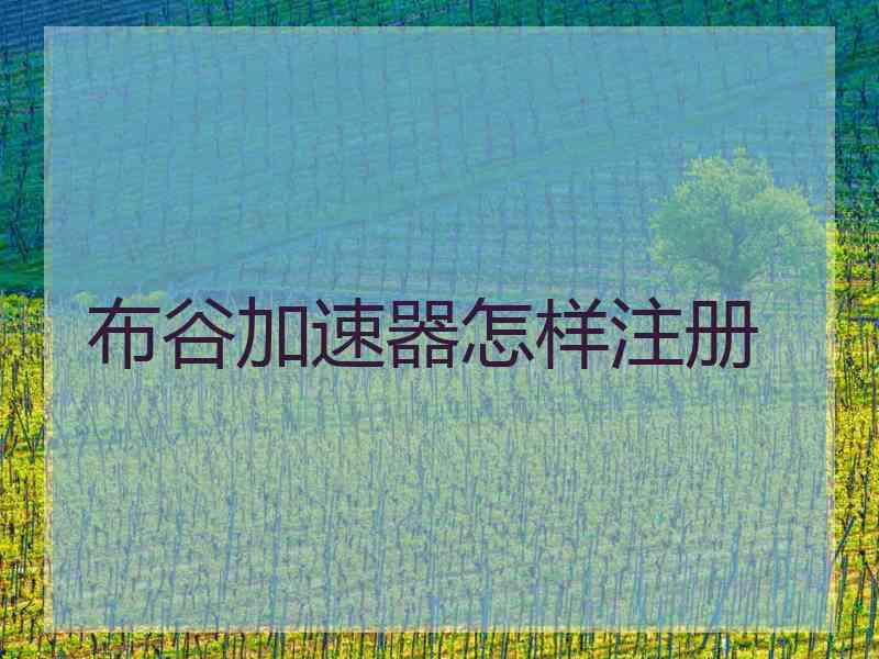 布谷加速器怎样注册