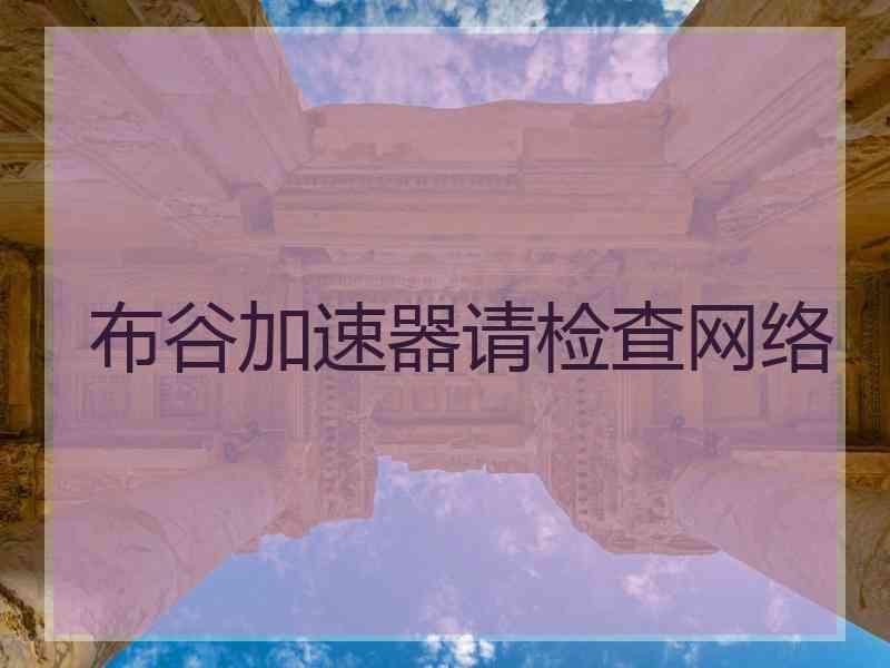 布谷加速器请检查网络