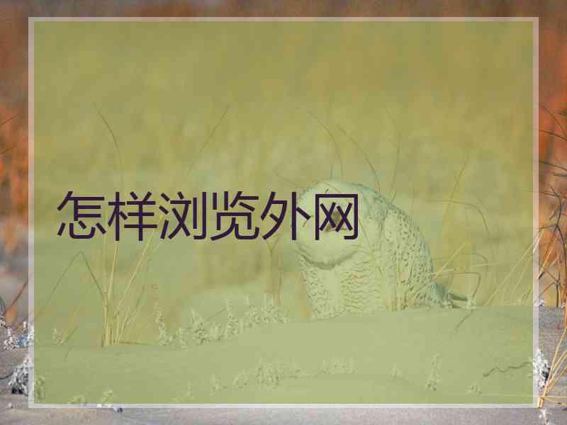 怎样浏览外网