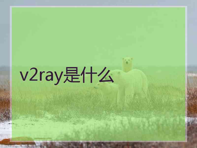 v2ray是什么