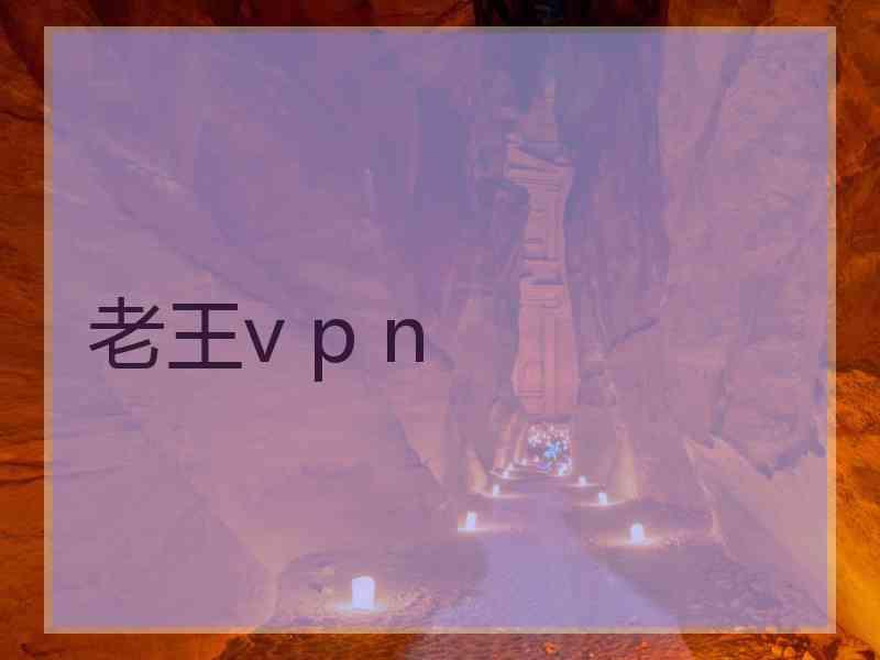 老王v p n