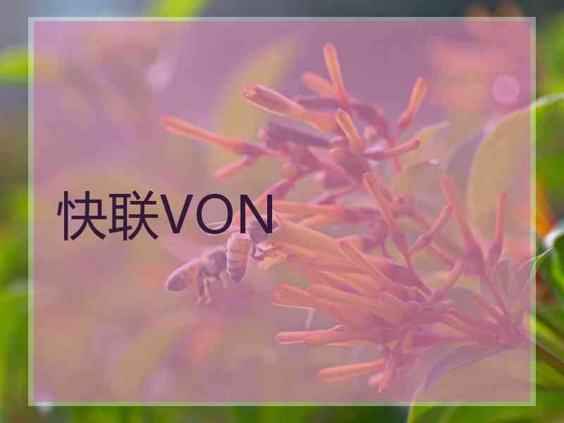 快联VON