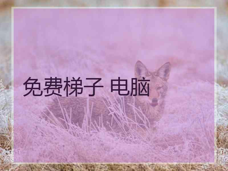 免费梯子 电脑