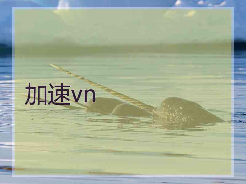 加速vn