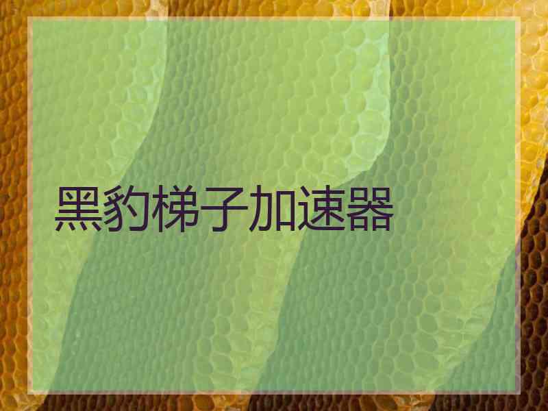 黑豹梯子加速器
