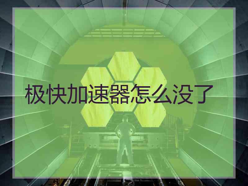 极快加速器怎么没了