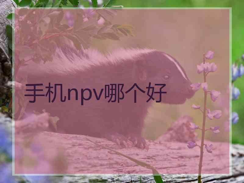手机npv哪个好