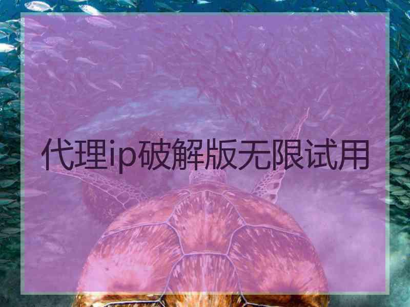代理ip破解版无限试用