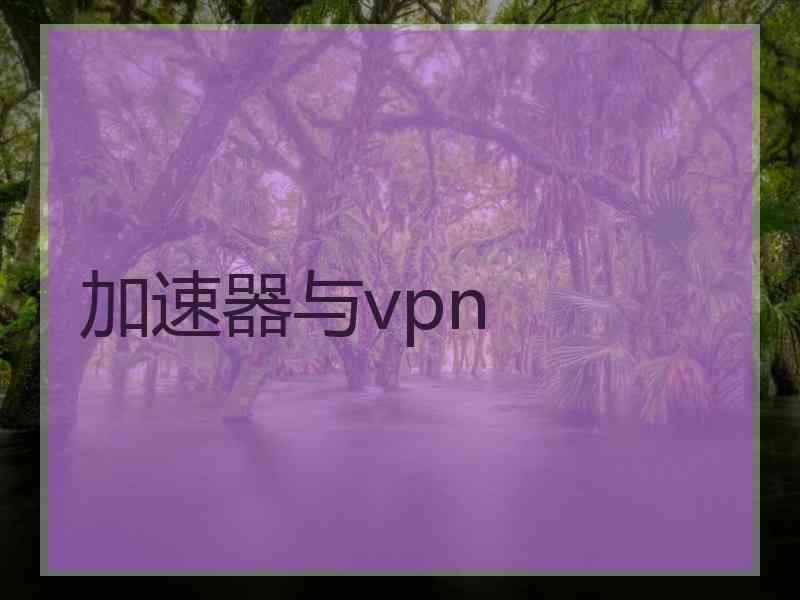 加速器与vpn