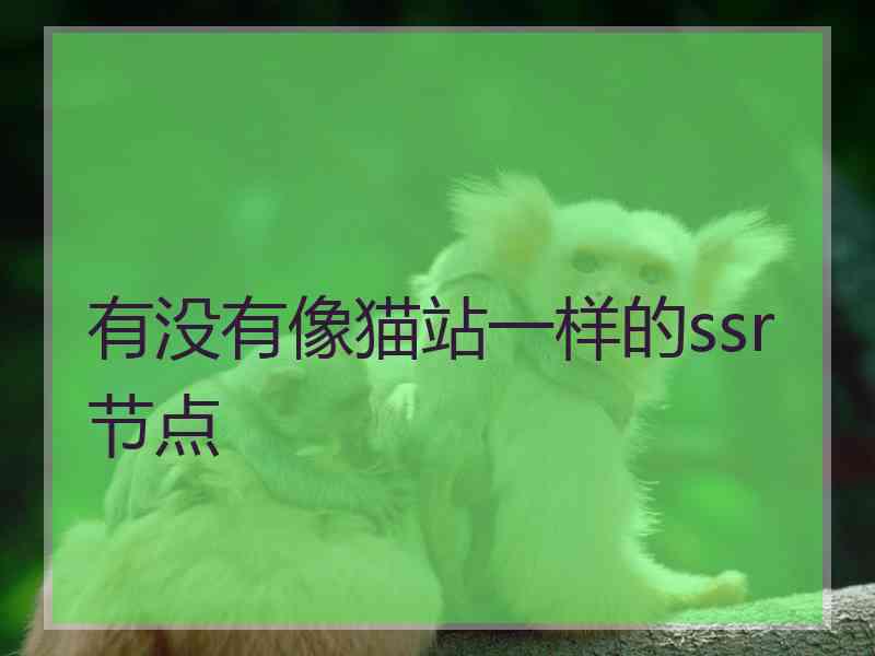 有没有像猫站一样的ssr节点