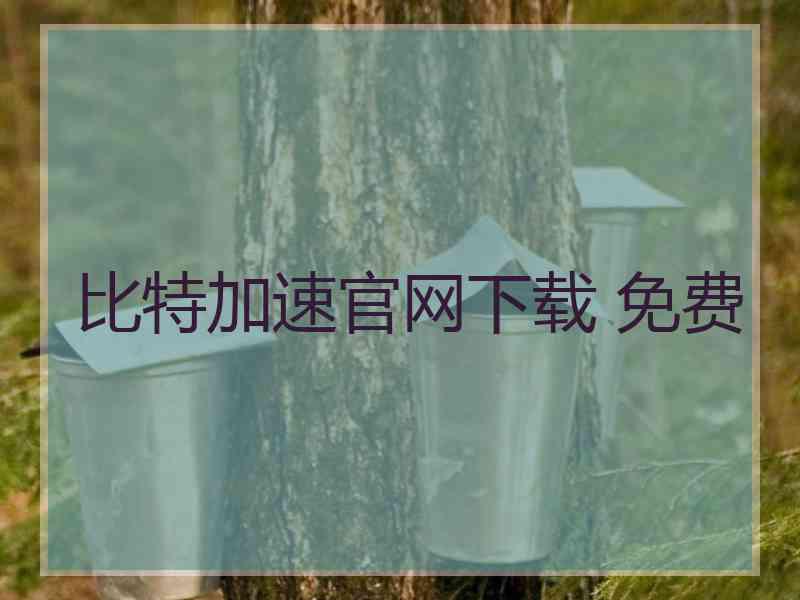 比特加速官网下载 免费