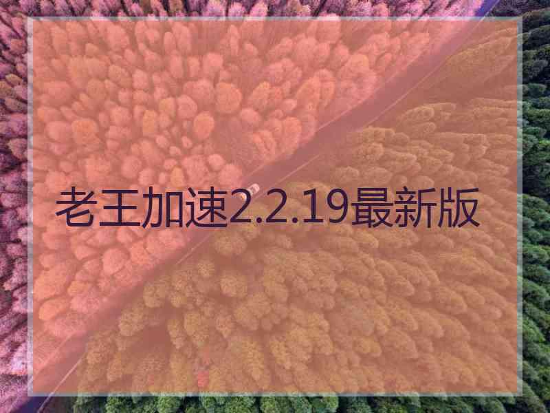 老王加速2.2.19最新版