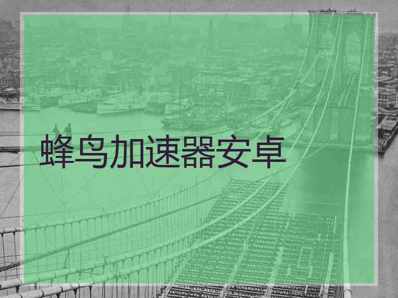 蜂鸟加速器安卓