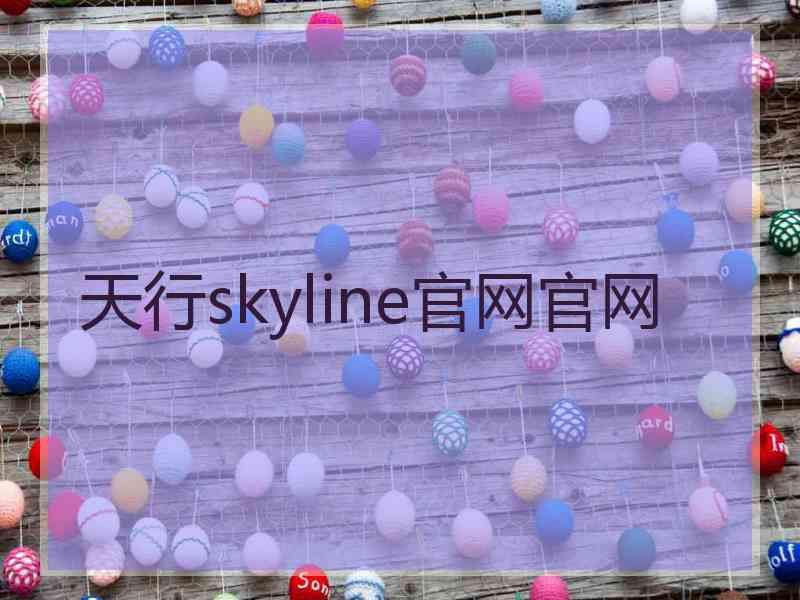 天行skyline官网官网