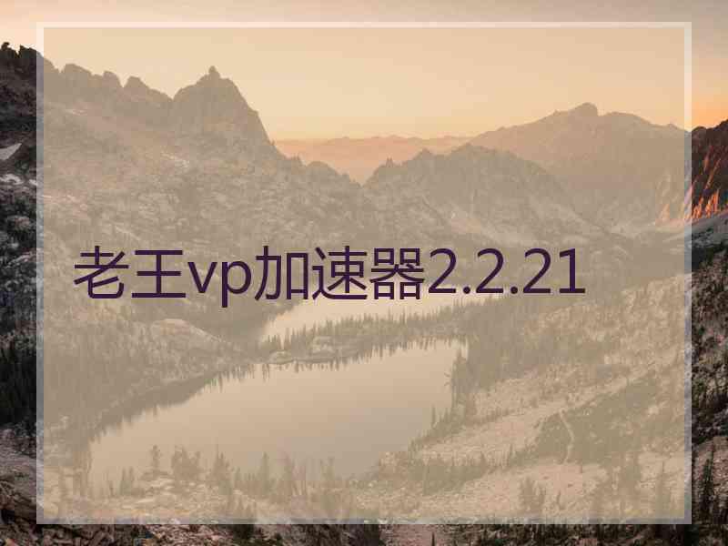 老王vp加速器2.2.21