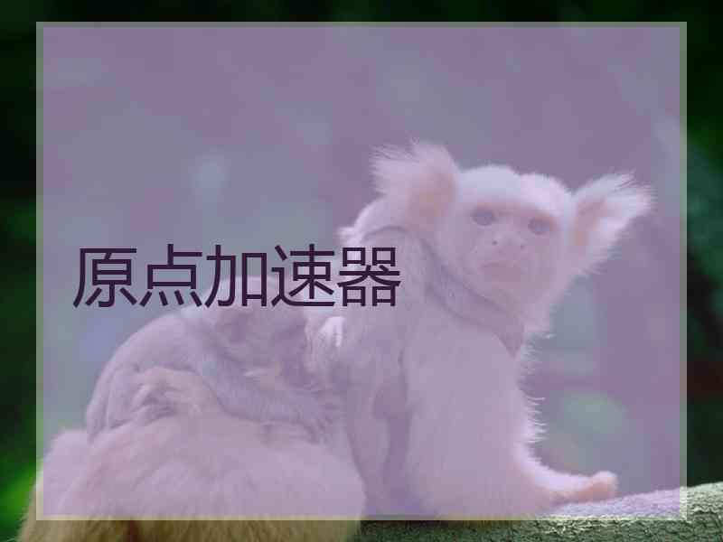 原点加速器