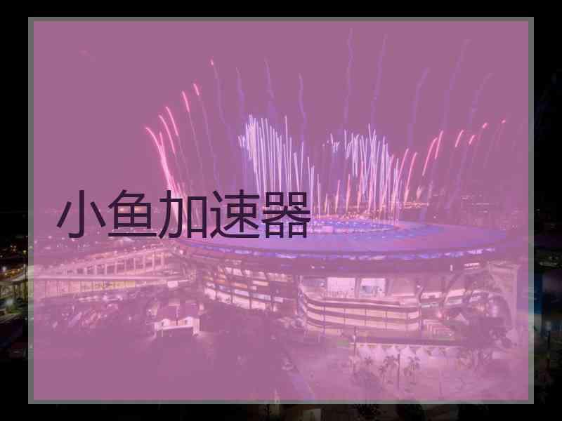 小鱼加速器