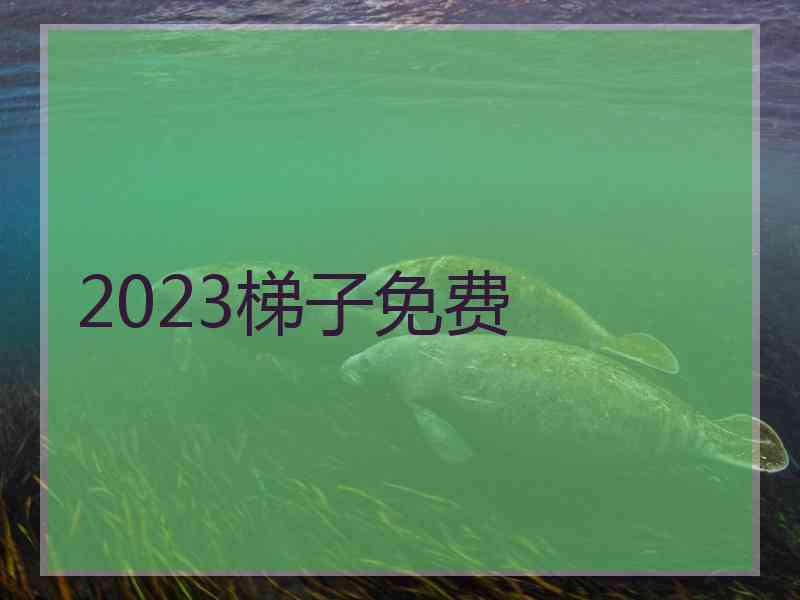 2023梯子免费